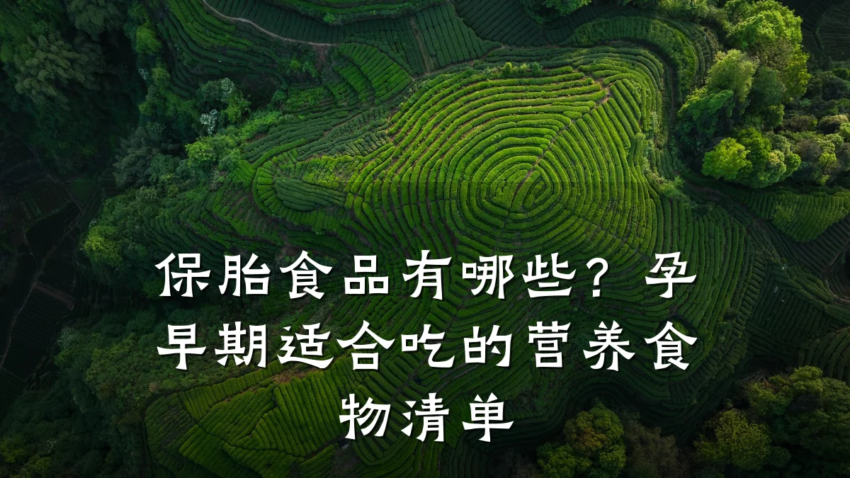 保胎食品有哪些？孕早期适合吃的营养食物清单