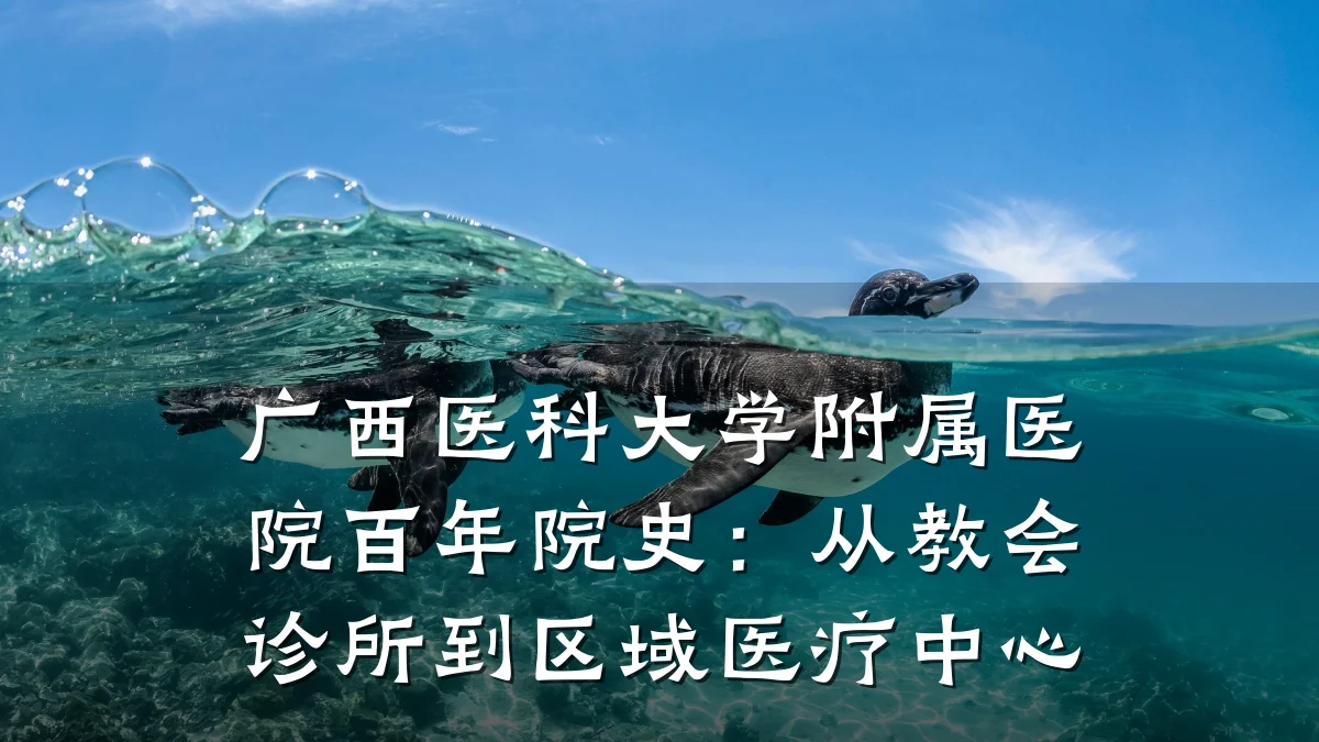 广西医科大学附属医院百年院史：从教会诊所到区域医疗中心