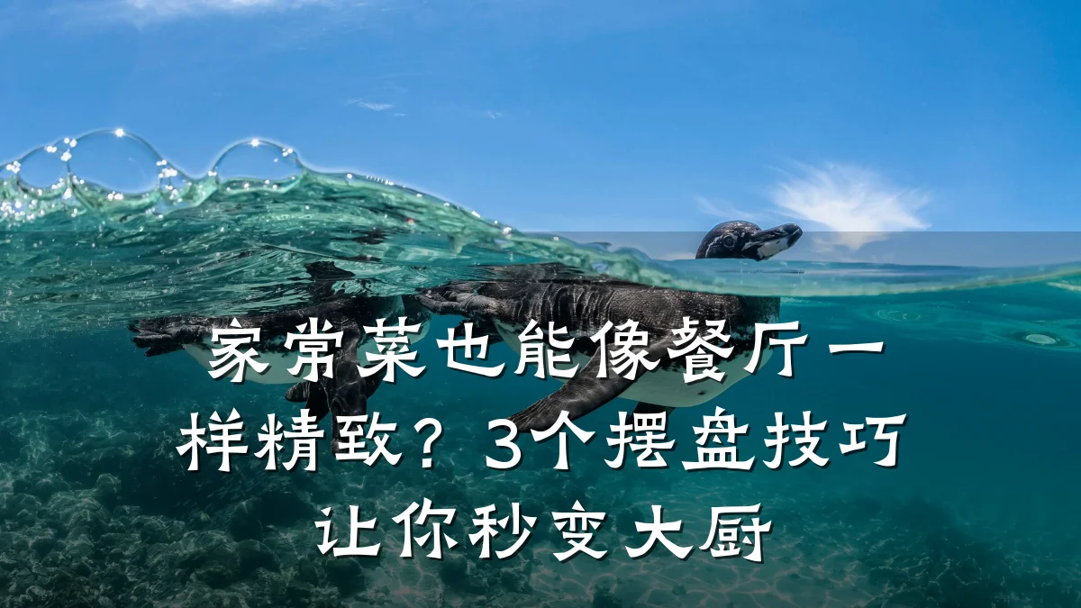 家常菜也能像餐厅一样精致？3个摆盘技巧让你秒变大厨