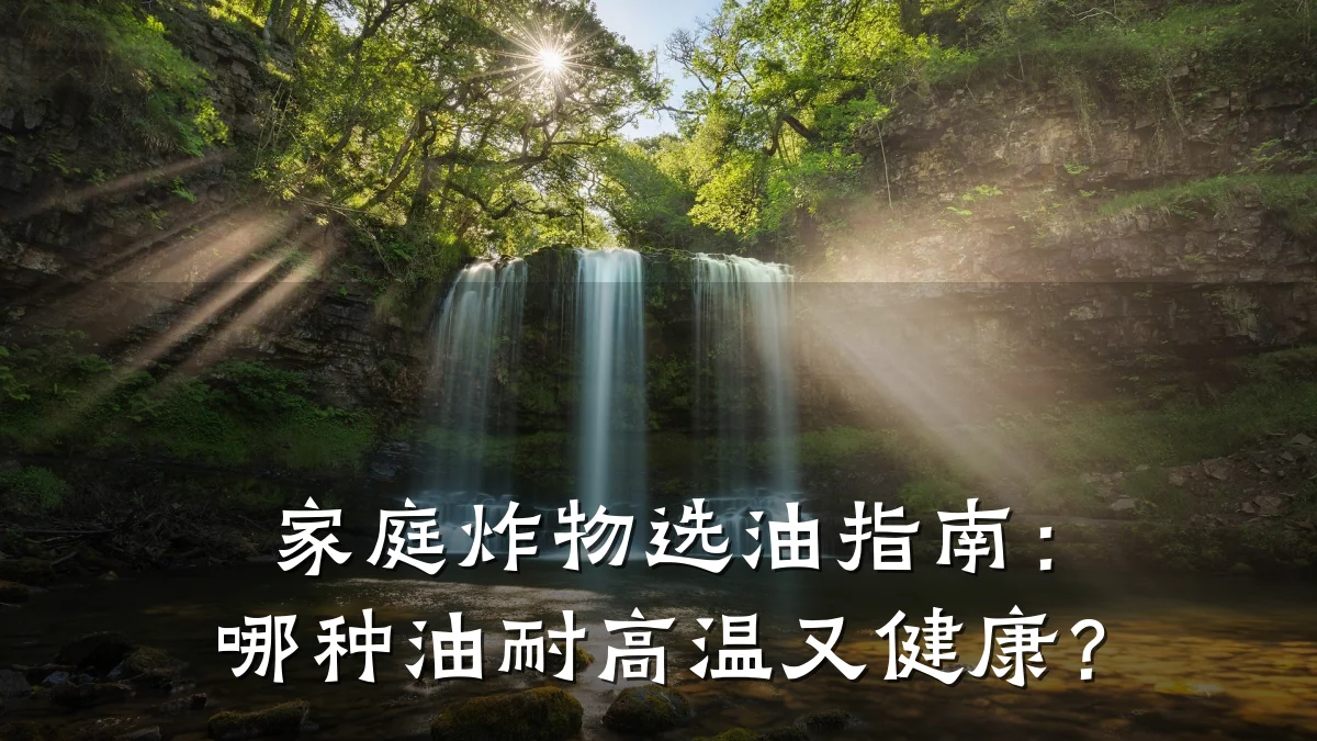 家庭炸物选油指南：哪种油耐高温又健康？