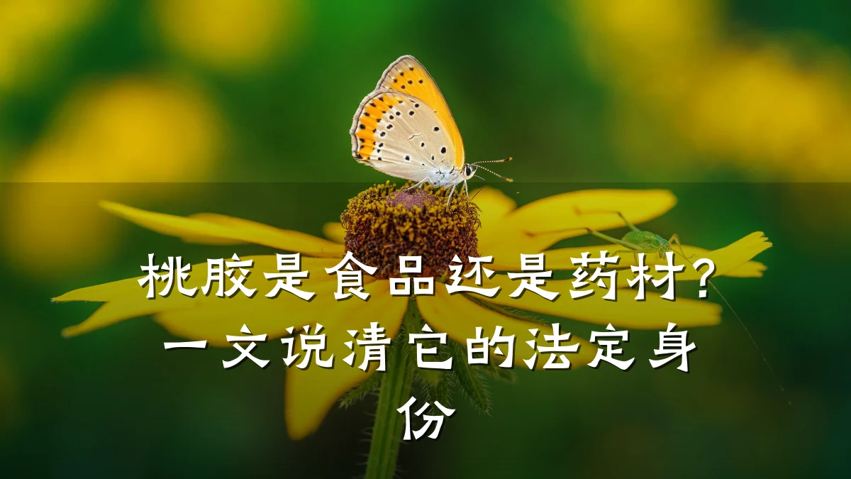 桃胶是食品还是药材？一文说清它的法定身份
