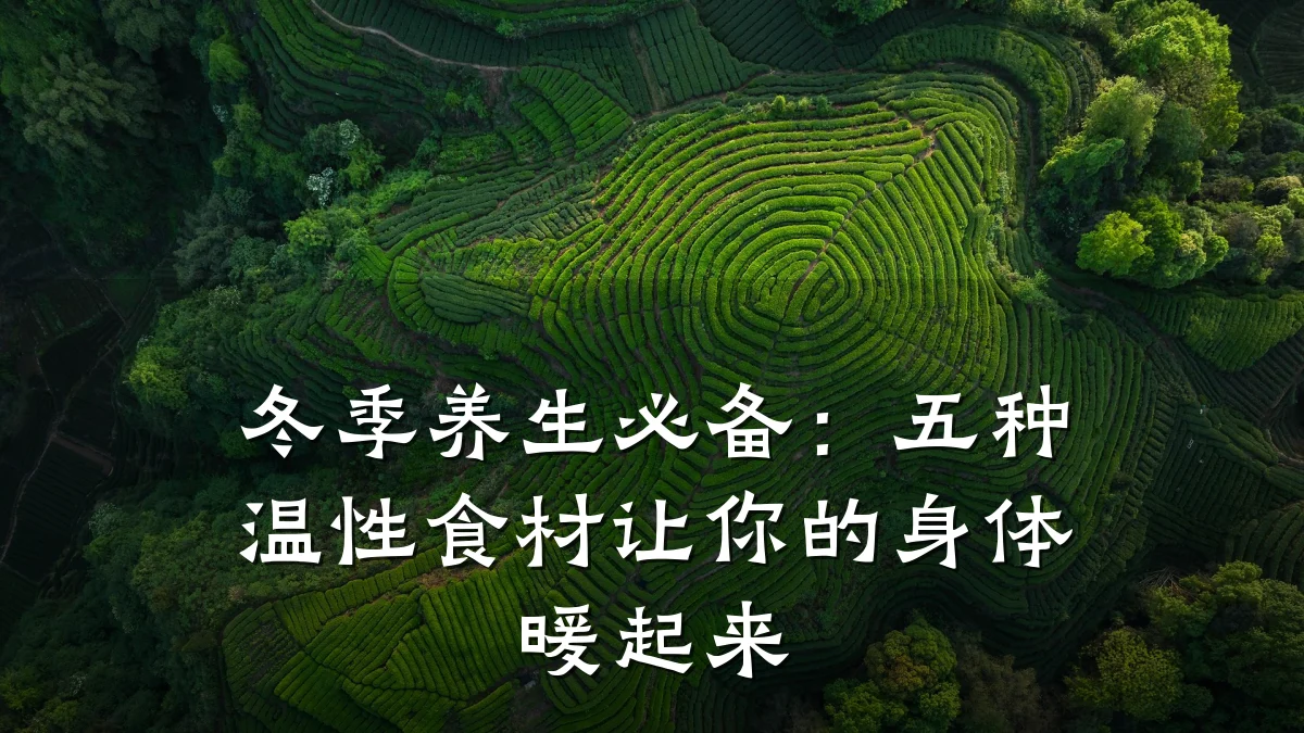冬季养生必备：五种温性食材让你的身体暖起来
