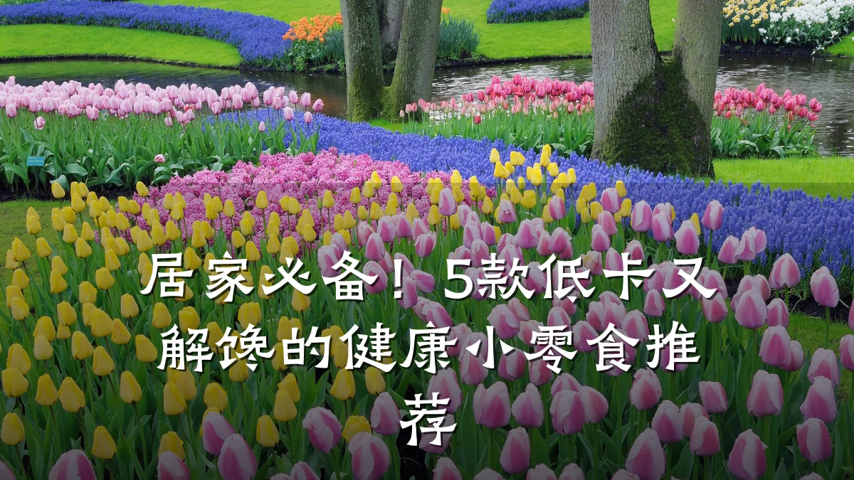 居家必备！5款低卡又解馋的健康小零食推荐