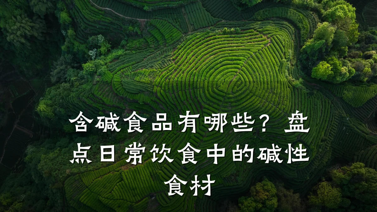 含碱食品有哪些？盘点日常饮食中的碱性食材