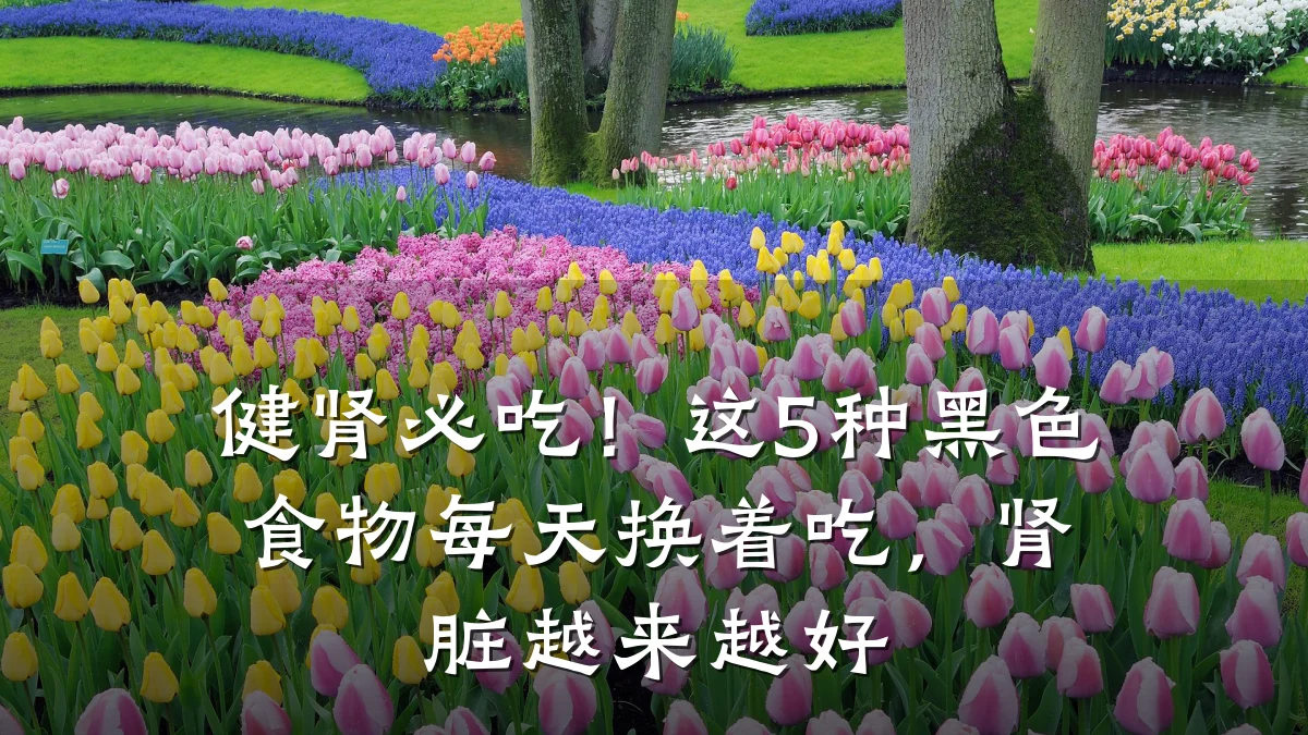 健肾必吃！这5种黑色食物每天换着吃，肾脏越来越好
