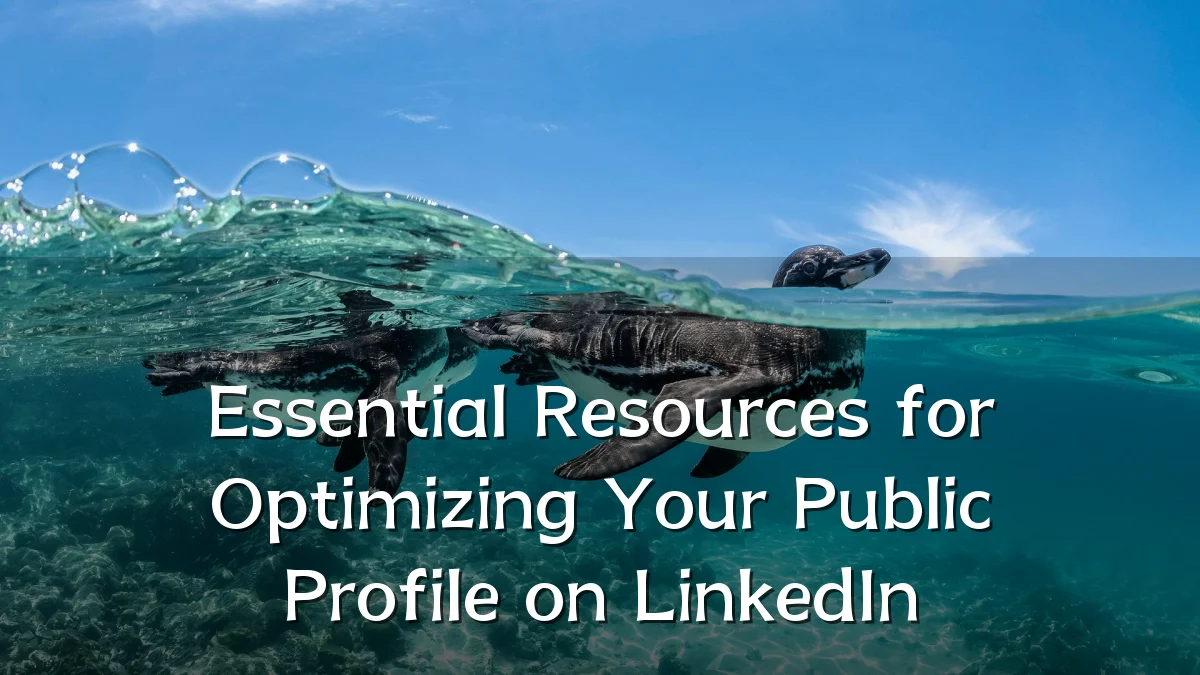 Essential Resources for Optimizing Your Public Profile on LinkedIn