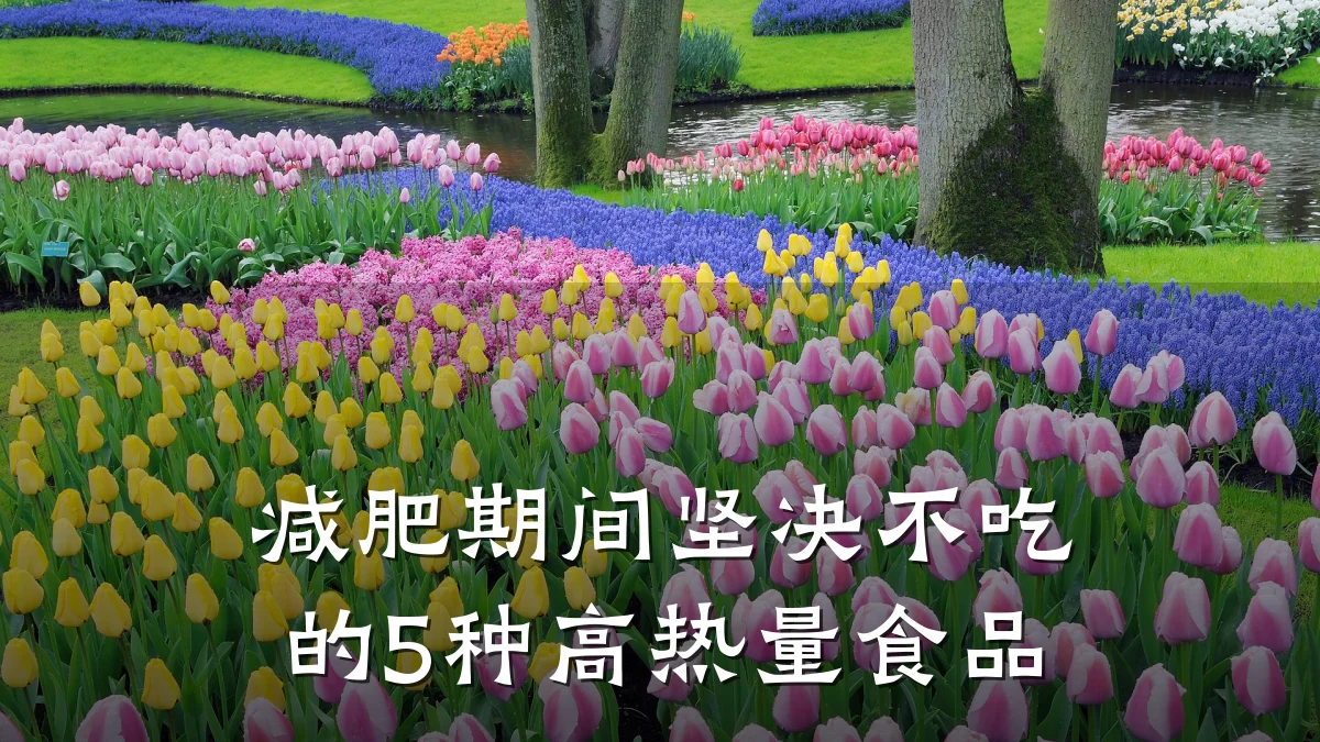 减肥期间坚决不吃的5种高热量食品