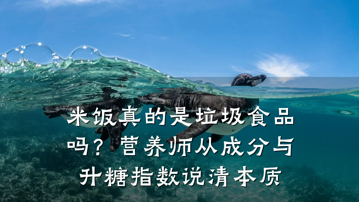 米饭真的是垃圾食品吗？营养师从成分与升糖指数说清本质