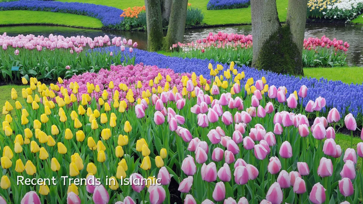 Recent Trends in Islamic