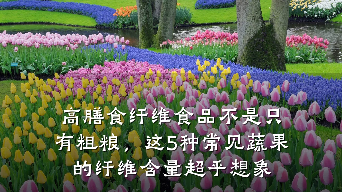高膳食纤维食品不是只有粗粮，这5种常见蔬果的纤维含量超乎想象