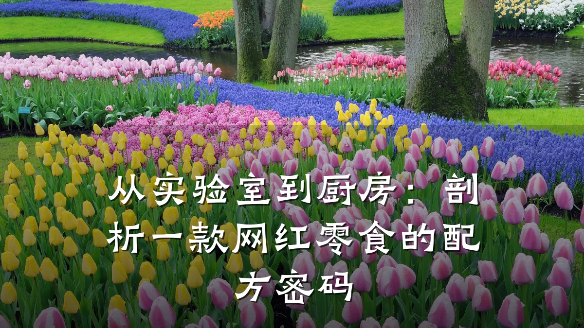从实验室到厨房：剖析一款网红零食的配方密码