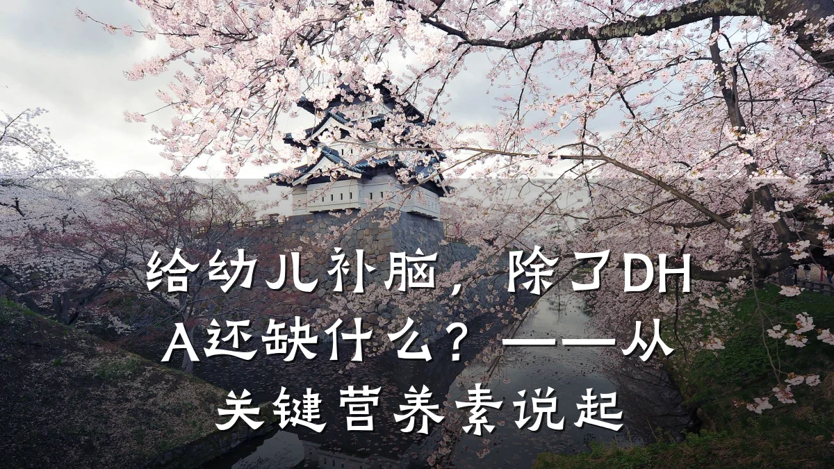 给幼儿补脑，除了DHA还缺什么？——从关键营养素说起