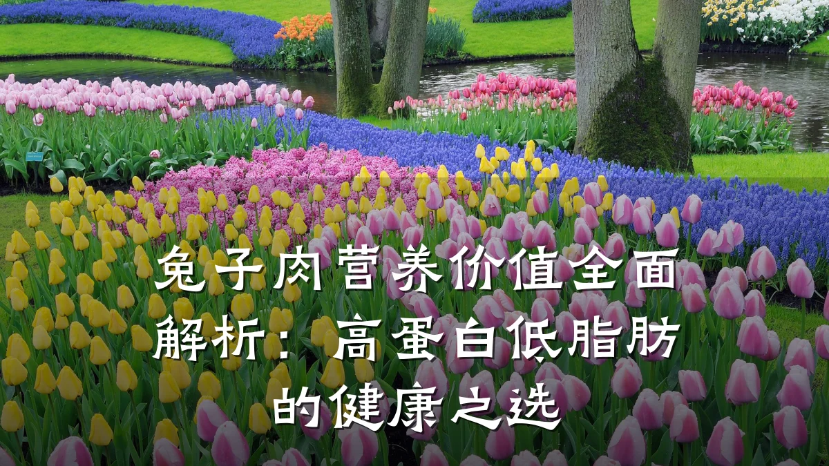 兔子肉营养价值全面解析：高蛋白低脂肪的健康之选